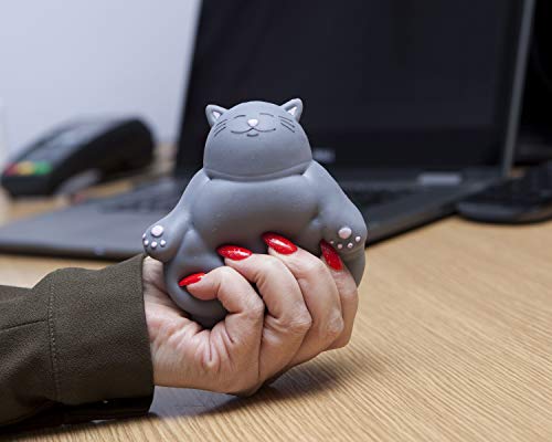 Boxer Gifts Kalma Kitty Stress Relief Toy | Helps with Anxiety