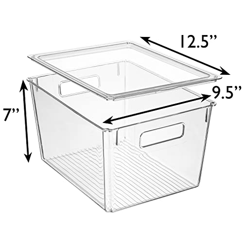 Clear Plastic Storage Bins with Lids, XL