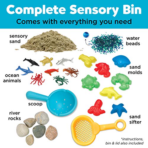 Creativity for Kids Sensory Bin: Ocean and Sand