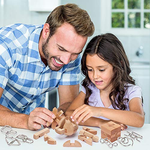 Metal and Wooden Puzzles - Brain Teasers for Adults