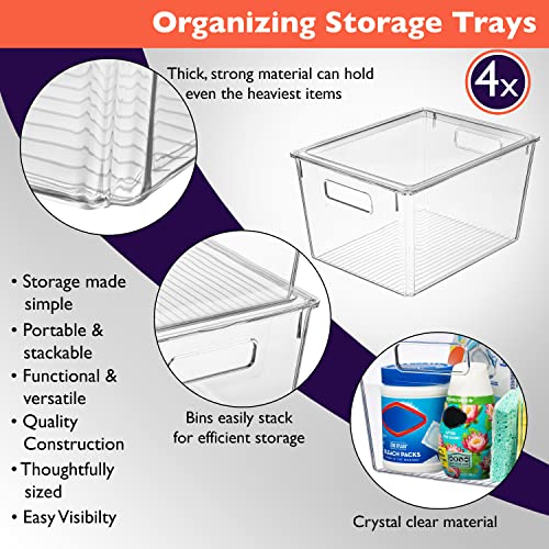 Clear Plastic Storage Bins with Lids, XL