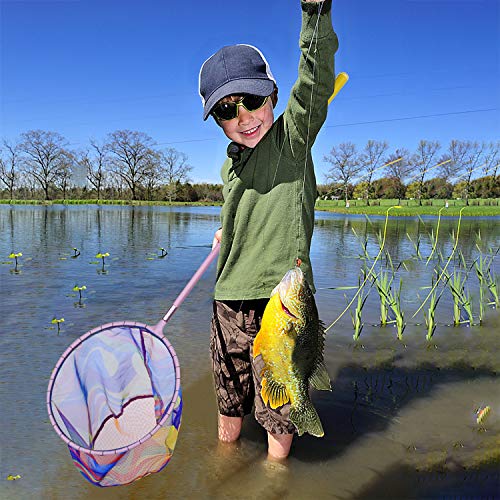 Go Adventuring with a Kids Fishing Net with Telescopic Pole