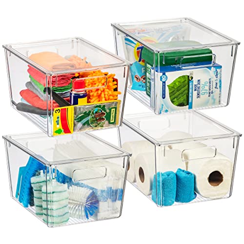 Clear Plastic Storage Bins with Lids, XL