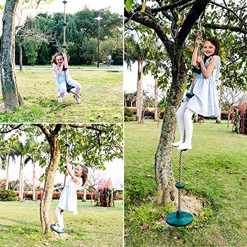 Climbing Rope with Disc for Tree or Swing Set