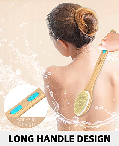 Shower Brush with Soft and Stiff Bristles