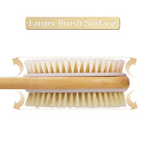 Shower Brush with Soft and Stiff Bristles