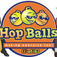 Bouncy Jumping Hopper Ball for Kids