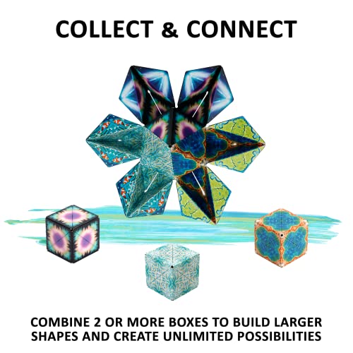 SHASHIBO Shape Shifting Box - Award-Winning, Patented Fidget Cube w/ 36  Rare Earth Magnets - Extraordinary 3D Magic Cube – Fidget Toy Transforms  Into Over 70 Shapes (Black & White) 